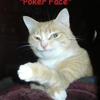 Happy Poker Addict