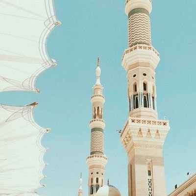 ikanoofita's profile picture. solid