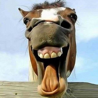 seant97's profile picture. 