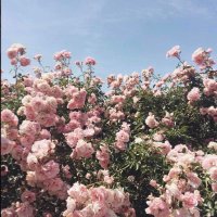 ๐๐๐๐๐ (@iisamhh) 's Twitter Profile