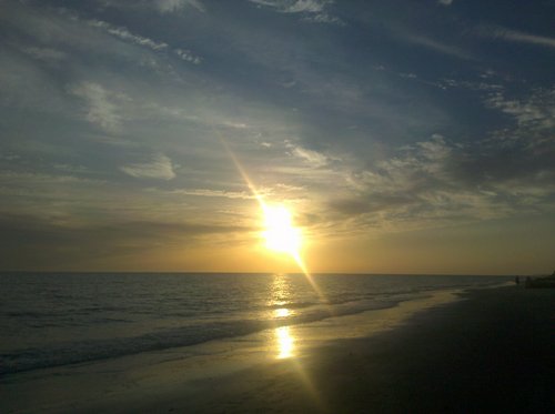 dayisalive's profile picture. 