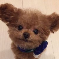 π‘ (@l_overw) 's Twitter Profile