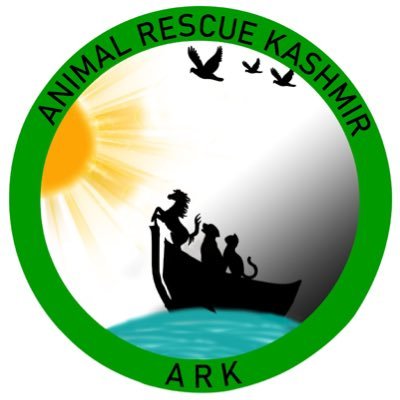 ark_foundation_ Profile Picture