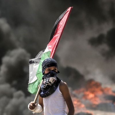 QLF_Yahiko's profile picture. Instagram : yacinee7||QLF🌎 { JLYahiko } s\o JLTomy