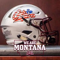 LT ™ (@larrytrangsrud) 's Twitter Profile Photo