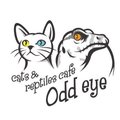 猫 爬虫類カフェodd Eye ついにグランドオープンが決まりました にゃんにゃんにゃんの猫の日オープンです でもその前にも楽しい事考えてますので更なるお知らせをお待ちくださいませ オープン 猫の日 2月22日 相模原 番田 猫カフェ 爬虫類