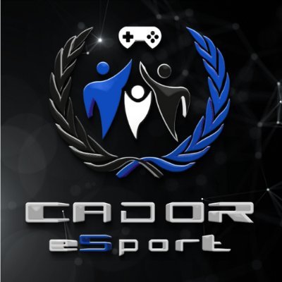 Futur entreprise d'événementiel eSport uniquement sur les jeux-vidéos sportifs. 
Création / Gestion
Casteur / Commentateur de compétitions esport.