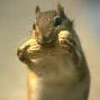 Peter Bui (@pnutzh4x0r) 's Twitter Profile Photo Peter Bui (@pnutzh4x0r) 's Twitter Profile Photo