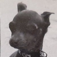 Kotter Stormhold (@kotterstormhold) 's Twitter Profile