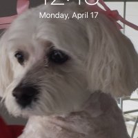 RT (@rtgabs) 's Twitter Profile