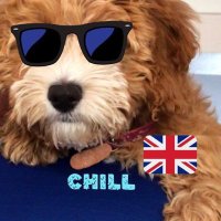 Cosmic 🇬🇧🇺🇸(@CosmicS70352387) 's Twitter Profile Photo