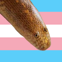 EffieSnake Profile Picture