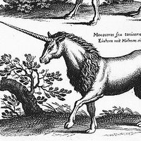 Postgraduate Animal Studies Symposium (PASS) (@passymposium) 's Twitter Profile