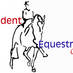 Student Equestrian (@studentequest) Twitter profile photo