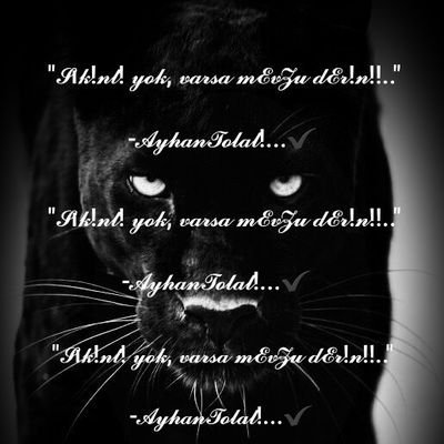 ayhan_dediki's profile picture. Kusuruma Bakmayın; Kusursuz Olamıyorum!!
Arızalıyım; Kullanmayın; Tehlikeli ve Yasaktır!!
☆☆☆☆☆☆☆ @mekanindelisi ☆☆☆☆☆☆☆
❌️dm❌️