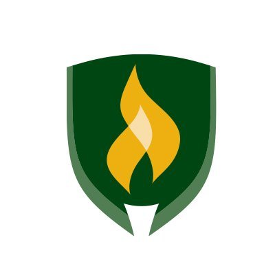 Rasmussen Technology Profile
