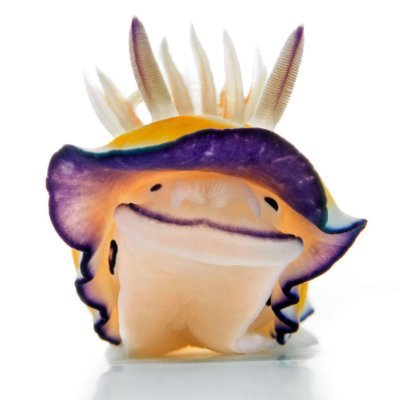 Geoffrey Mullerさんのプロフィール画像
