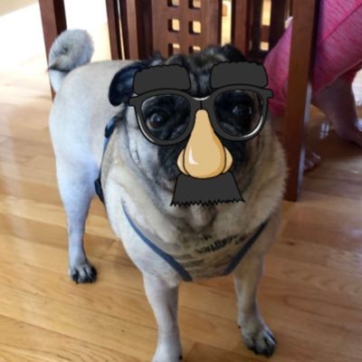 _KMcC_'s profile picture. Dude...