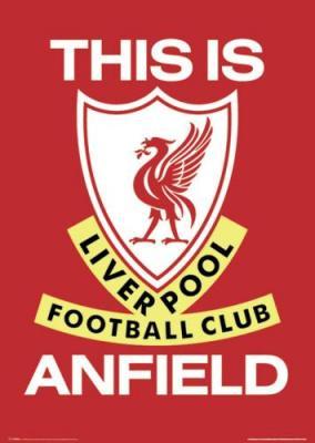 liverpool football club till I die, celebrity trunker lol love grime music drum n bass garage anyfink really just love music I guess sheeeeesh
