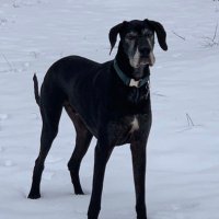 John Sherman (@sparkpoint01) 's Twitter Profile
