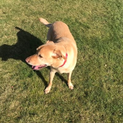 markib10's profile picture. 