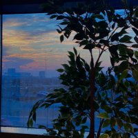 mrymalburshaid (@mrymalburshaid) 's Twitter Profile