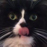 Dinjo & Dook (@dinjodook) 's Twitter Profile Photo Dinjo & Dook (@dinjodook) 's Twitter Profile Photo