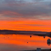 paul gugliuzzo (@pgugliuzzo) 's Twitter Profile