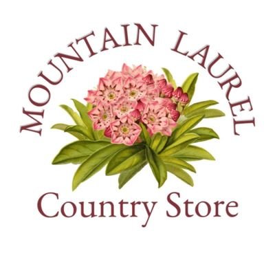 The Mountain Laurel Country Store is located in historic downtown Sutton, West Virginia. 

#SmallBusiness #ShopLocal #suttonwv #visitbraxtonwv #savingsutton