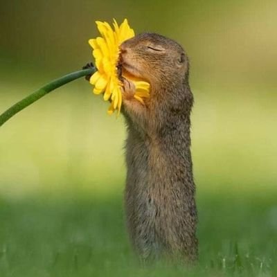 Katherinne_m_r's profile picture. 