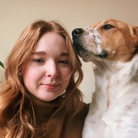 laura ayers (@lauraaayers) 's Twitter Profile