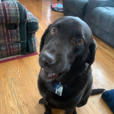 SCOOTSC78's profile picture. Air Force Vet. Proud father of 3 crazy girls. Without god, and country, we have nothing. 2 years sober.