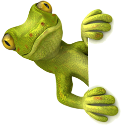 Gecko Cleaning is a young, dynamic and environmentally friendly company.
