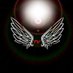 dodoTV (@dodotv_fr) Twitter profile photo dodoTV (@dodotv_fr) Twitter profile photo