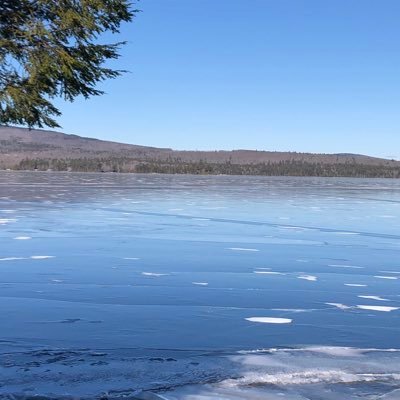 lakegir84305732's profile picture. Came here to tell donnie he lost, repeatedly, stayed for parlartakes