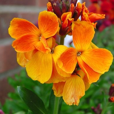 StorytellingEry's profile picture. 