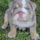 Cassey Smith - @CasseyS46315815 - Twitter