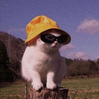 littleleokid's profile picture. trans nigga with anxiety. where I come to feel feelings and see what I wanna see