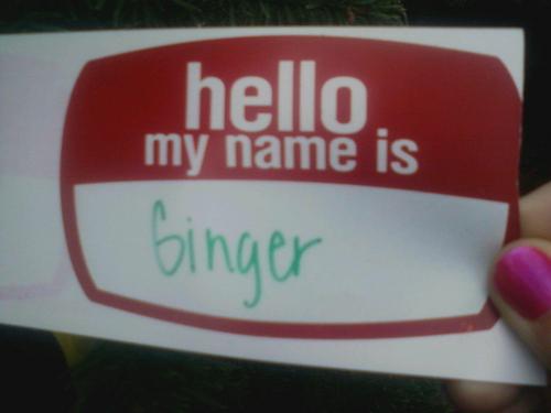 joetheginger's profile picture. 2016 Fantasy Football league champ