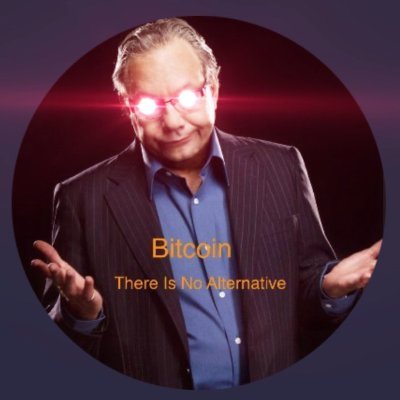 BitcoinT.I.N.A.-- There Is No Alternative