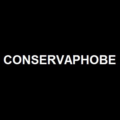 Author of the book CONSERVAPHOBE: How the Hatred of Conservatives is Destroying America