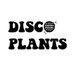 Disco🌐Plants (@discoplants) Twitter profile photo Disco🌐Plants (@discoplants) Twitter profile photo