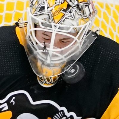 Pittsburgh Penguins fan