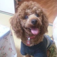 🐱みつお💩໒꒱· ゚ (@mitsuosangou) 's Twitter Profile