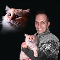 Gareth (@garethbotha) 's Twitter Profile