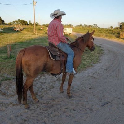 small town cowboy riding pins and pushing Livestock at sale barns to make a living until everything falls into place