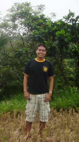 University Instructor
Mariano Marcos State University
College of Arts and Sciences