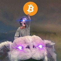 BitNomadic(@BitNomadic) 's Twitter Profile Photo