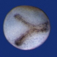 WntTalks : https://wnttalks.wordpress.com/ (@talkswnt) 's Twitter Profile