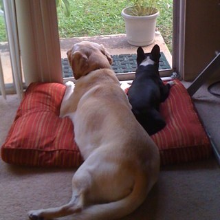 extremenapper's profile picture. 